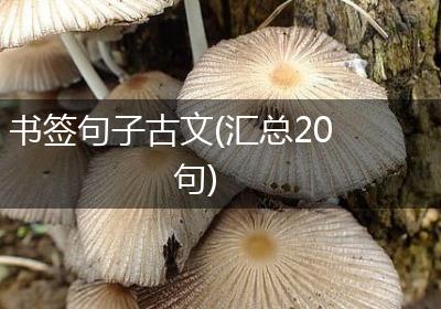 书签句子古文(汇总20句)