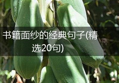 书籍面纱的经典句子(精选20句)
