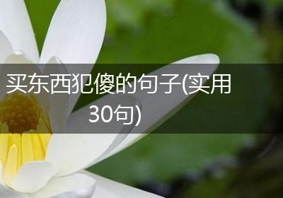 买东西犯傻的句子(实用30句)