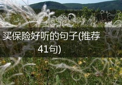 买保险好听的句子(推荐41句)