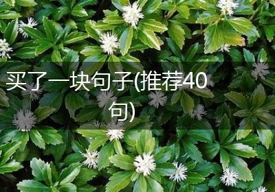 买了一块句子(推荐40句)