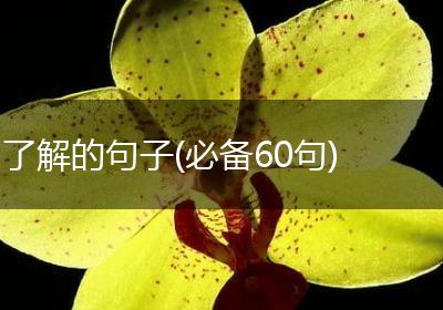 了解的句子(必备60句)
