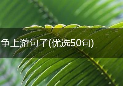争上游句子(优选50句)