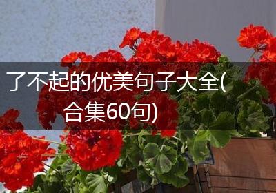 了不起的优美句子大全(合集60句)