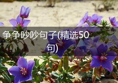 争争吵吵句子(精选50句)