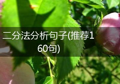 二分法分析句子(推荐160句)