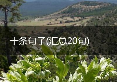 二十条句子(汇总20句)