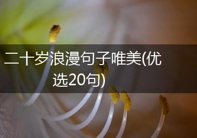 二十岁浪漫句子唯美(优选20句)