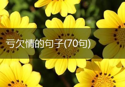 亏欠情的句子(70句)