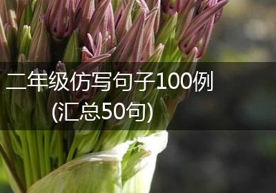 二年级仿写句子100例(汇总50句)