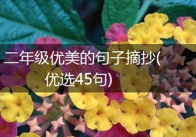 二年级优美的句子摘抄(优选45句)
