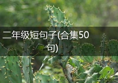 二年级短句子(合集50句)