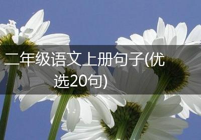 二年级语文上册句子(优选20句)