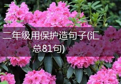 二年级用保护造句子(汇总81句)