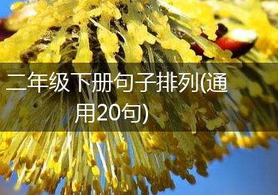 二年级下册句子排列(通用20句)