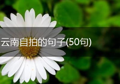 云南自拍的句子(50句)