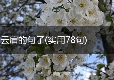 云肩的句子(实用78句)