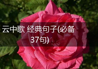 云中歌 经典句子(必备37句)