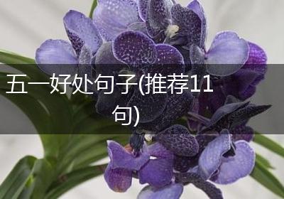 五一好处句子(推荐11句)