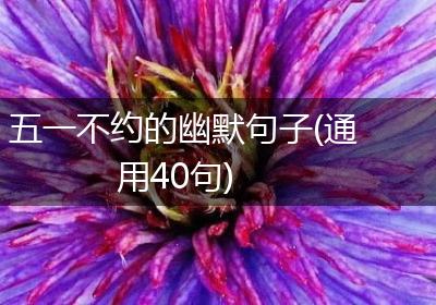五一不约的幽默句子(通用40句)