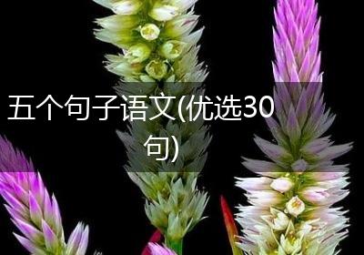 五个句子语文(优选30句)