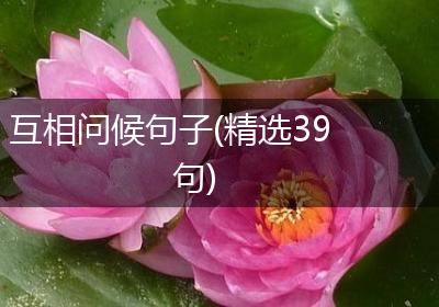 互相问候句子(精选39句)