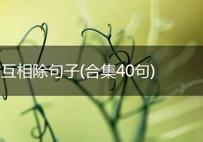 互相除句子(合集40句)