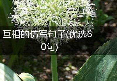 互相的仿写句子(优选60句)