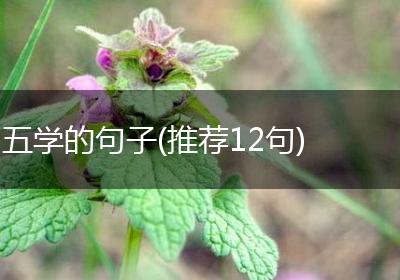 五学的句子(推荐12句)