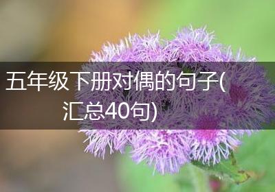五年级下册对偶的句子(汇总40句)