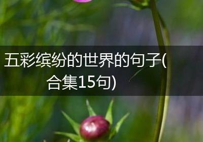 五彩缤纷的世界的句子(合集15句)