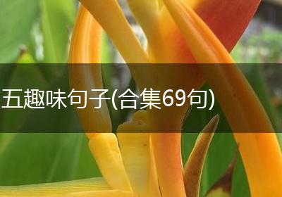 五趣味句子(合集69句)