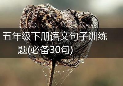 五年级下册语文句子训练题(必备30句)