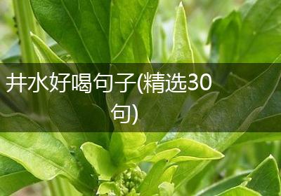 井水好喝句子(精选30句)