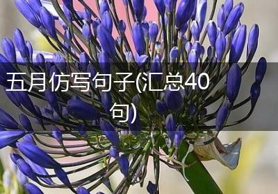 五月仿写句子(汇总40句)