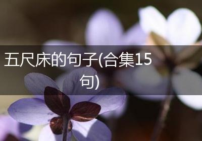 五尺床的句子(合集15句)