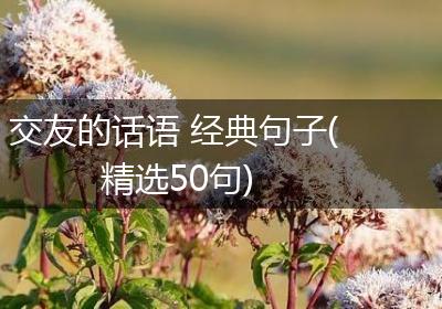交友的话语 经典句子(精选50句)