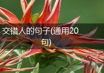 交错人的句子(通用20句)