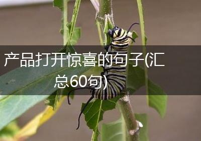 产品打开惊喜的句子(汇总60句)