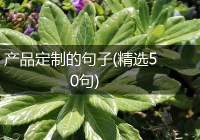 产品定制的句子(精选50句)