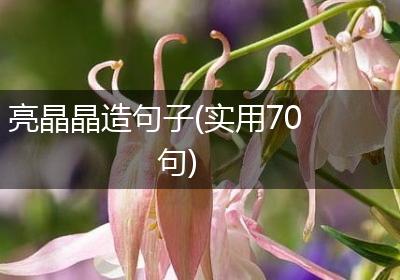 亮晶晶造句子(实用70句)