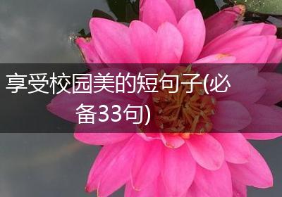 享受校园美的短句子(必备33句)