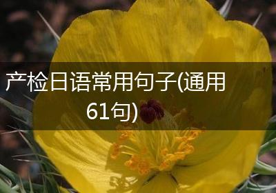 产检日语常用句子(通用61句)