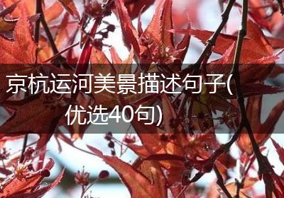 京杭运河美景描述句子(优选40句)