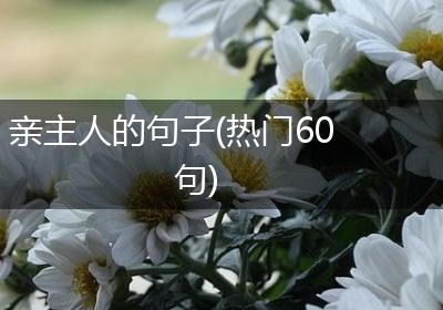 亲主人的句子(热门60句)