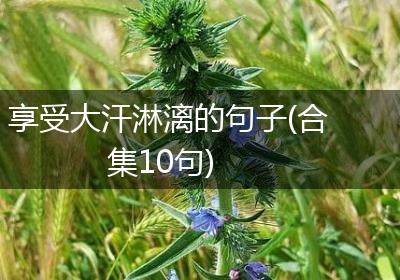 享受大汗淋漓的句子(合集10句)
