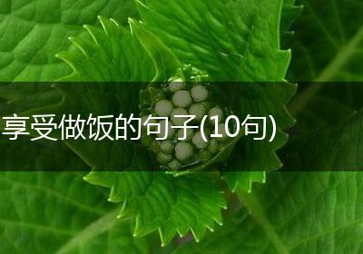 享受做饭的句子(10句)