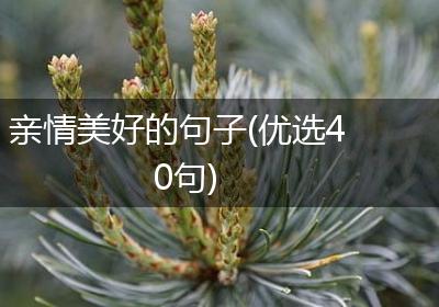 亲情美好的句子(优选40句)
