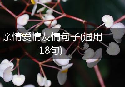 亲情爱情友情句子(通用18句)