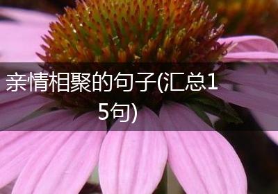 亲情相聚的句子(汇总15句)